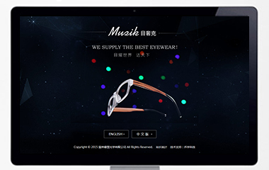 Muzik optical
